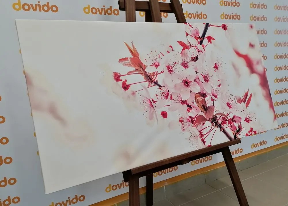 Quadro su tela – Fiori rosa di ciliegio