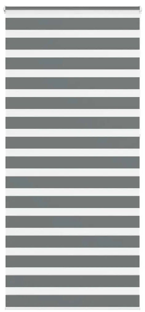 Tenda A Rullo Zebra Larghezza Tessuto 95,9 Cm Poliestere /