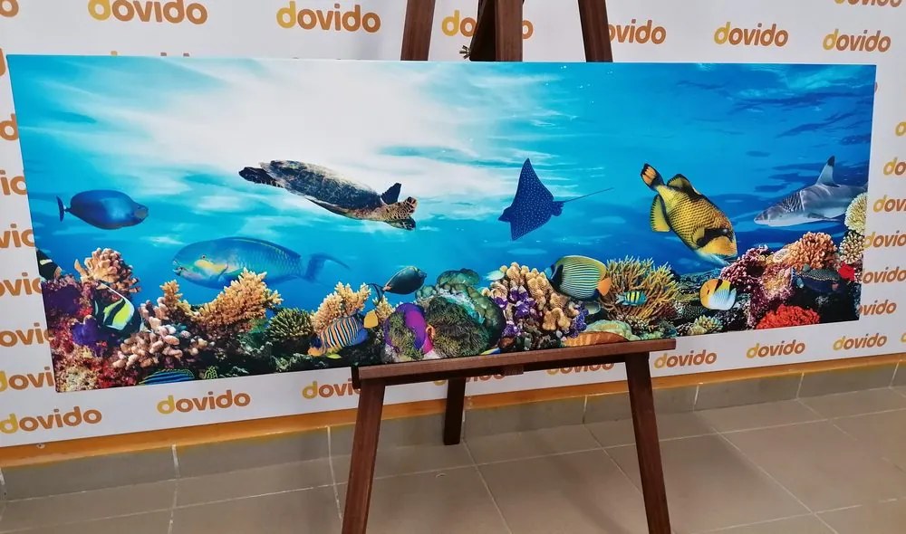 Stampa su tela – Barriera corallina con pesci e tartarughe