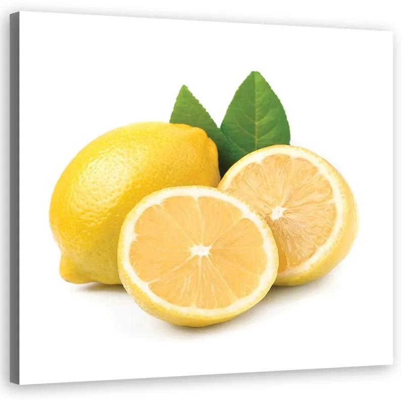 Quadro su tela, Frutta al limone