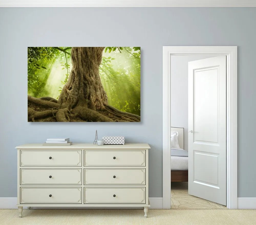Quadro su tela – Radice dell'albero