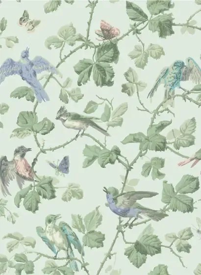 Tapete Winter Birds von Cole & Son - Duck Egg