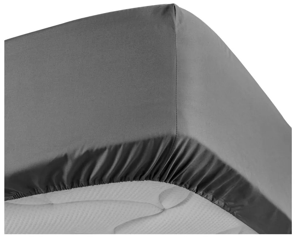 Lenzuolo in percalle di cotone elasticizzato antracite 90x190 cm Percaline - douceur d'intérieur