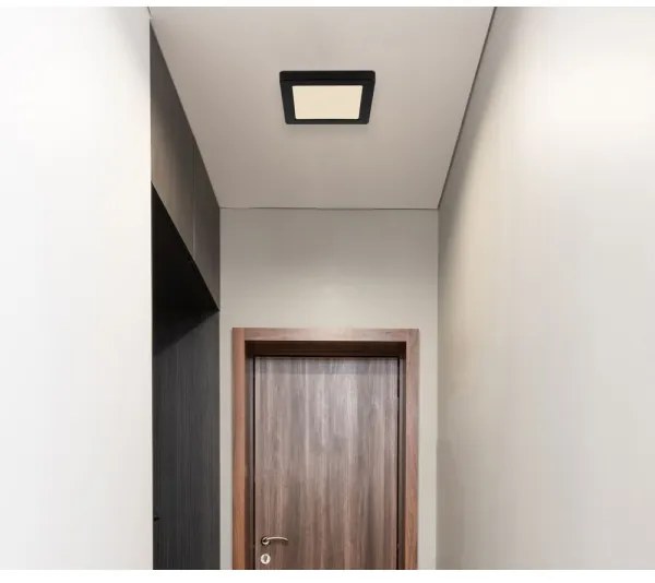 Globo 12380-12B - Plafoniera LED LASSE LED/12W/230V 3000/4000/6500K nero