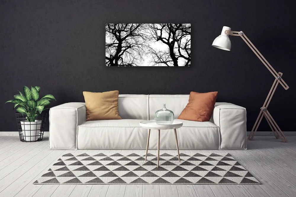 Quadro su tela Alberi della natura in bianco e nero 100x50 cm