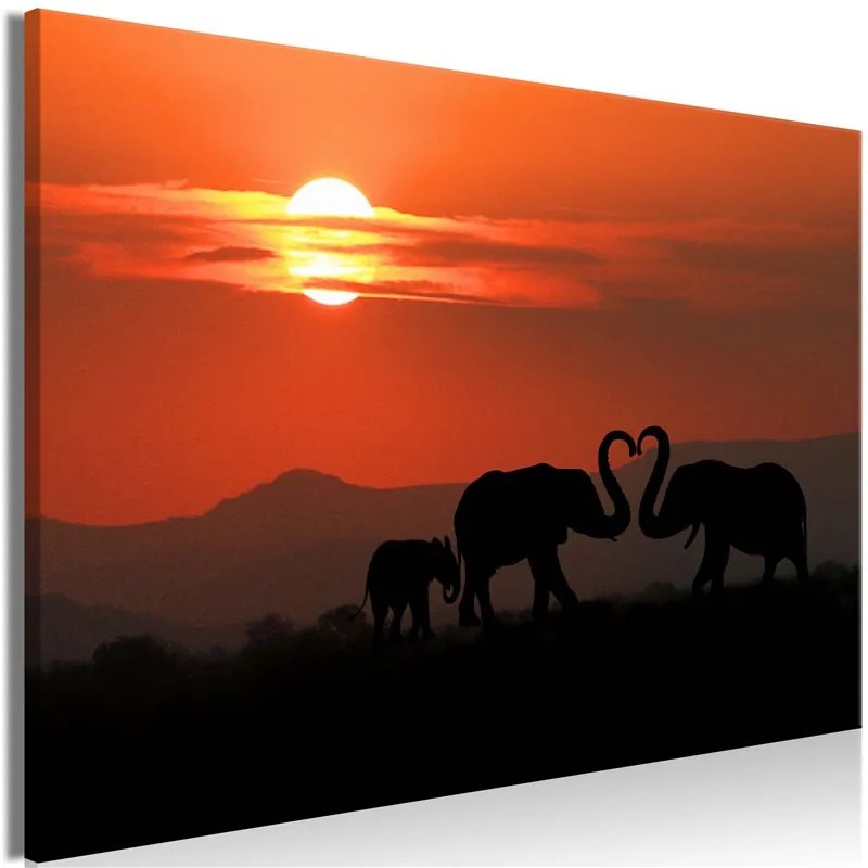 Quadro  Elephants in Love (1 Part) Wide  Colore Giallo, Dimensioni e Misure 60x40