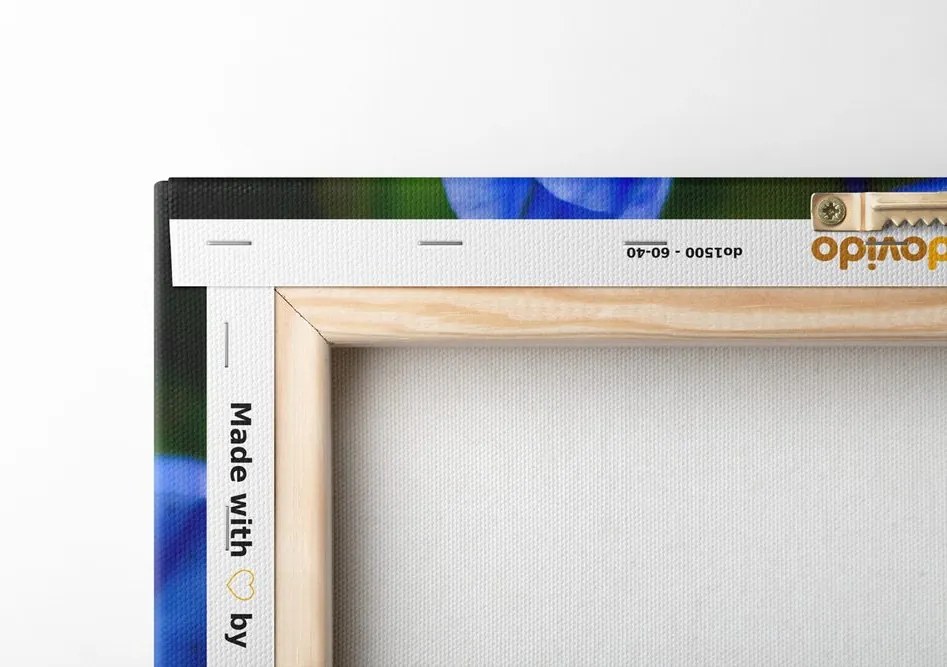 Quadro su tela – Fiori blu selvatici