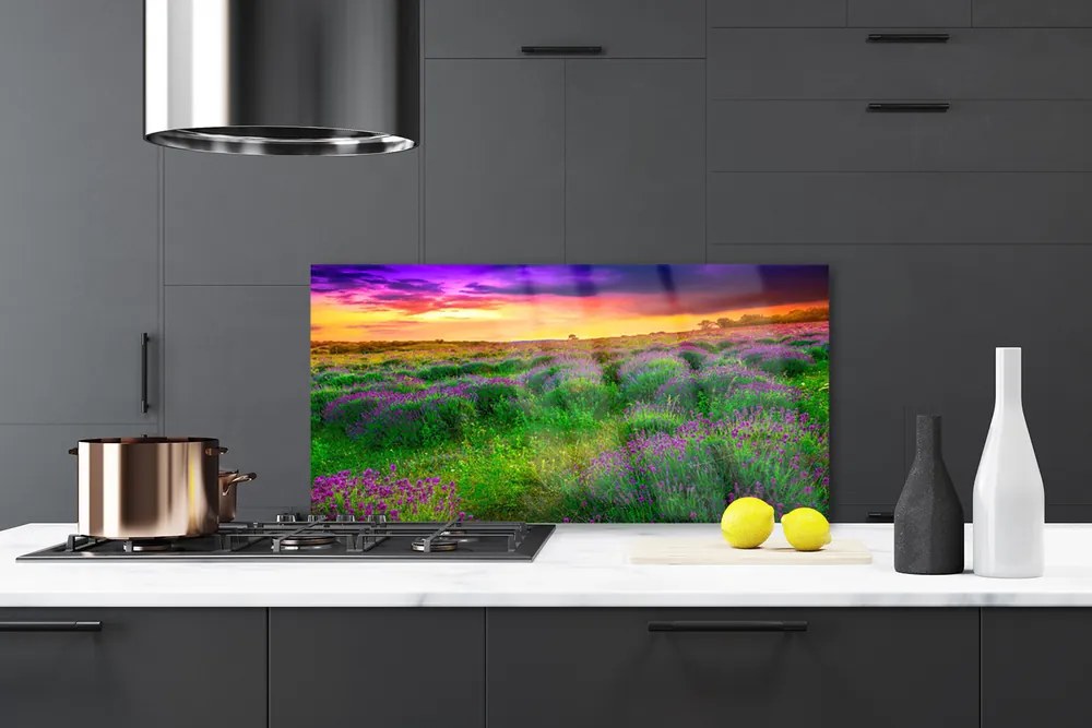Pannello paraschizzi cucina Prato Natura 120x60 cm