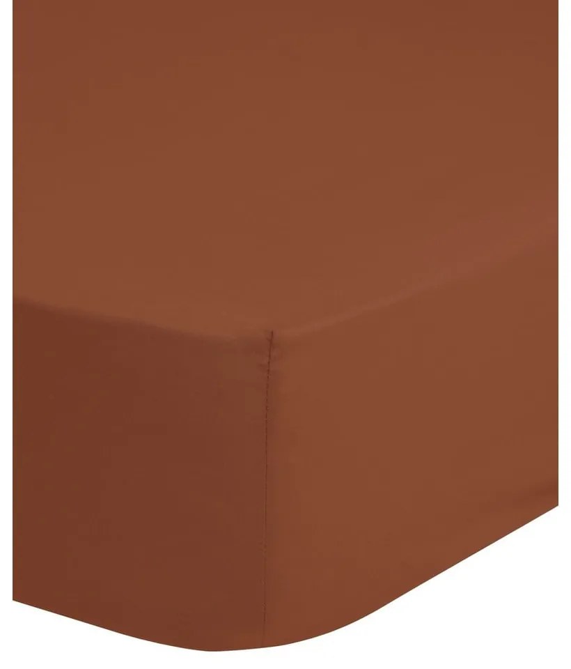 Lenzuolo elastico in cotone arancione scuro, 180 x 200 cm - Good Morning