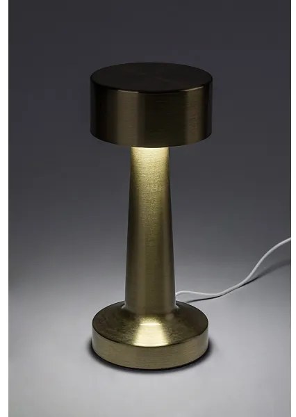 Rabalux 74207-LED Lampada da tavolo ricaricabile SENAN LED 2,7W/5V 1200mAh oro