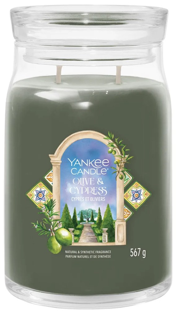 Olive e Cypress, candela giara grande Yankee Candle