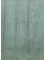 Sandberg Wandbild Skog - Forest Green