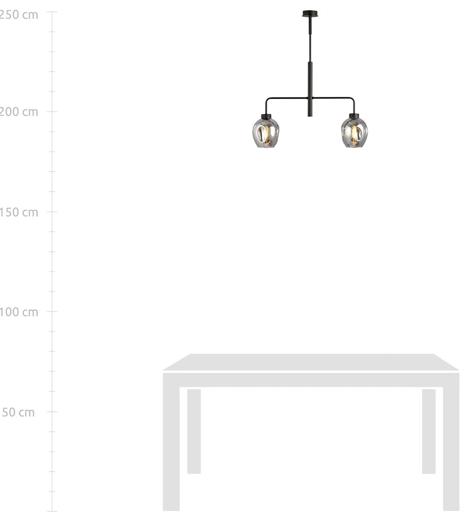 Lampadario Moderno 2 Luci Auriga In Accaio Nero E Vetro Fumè