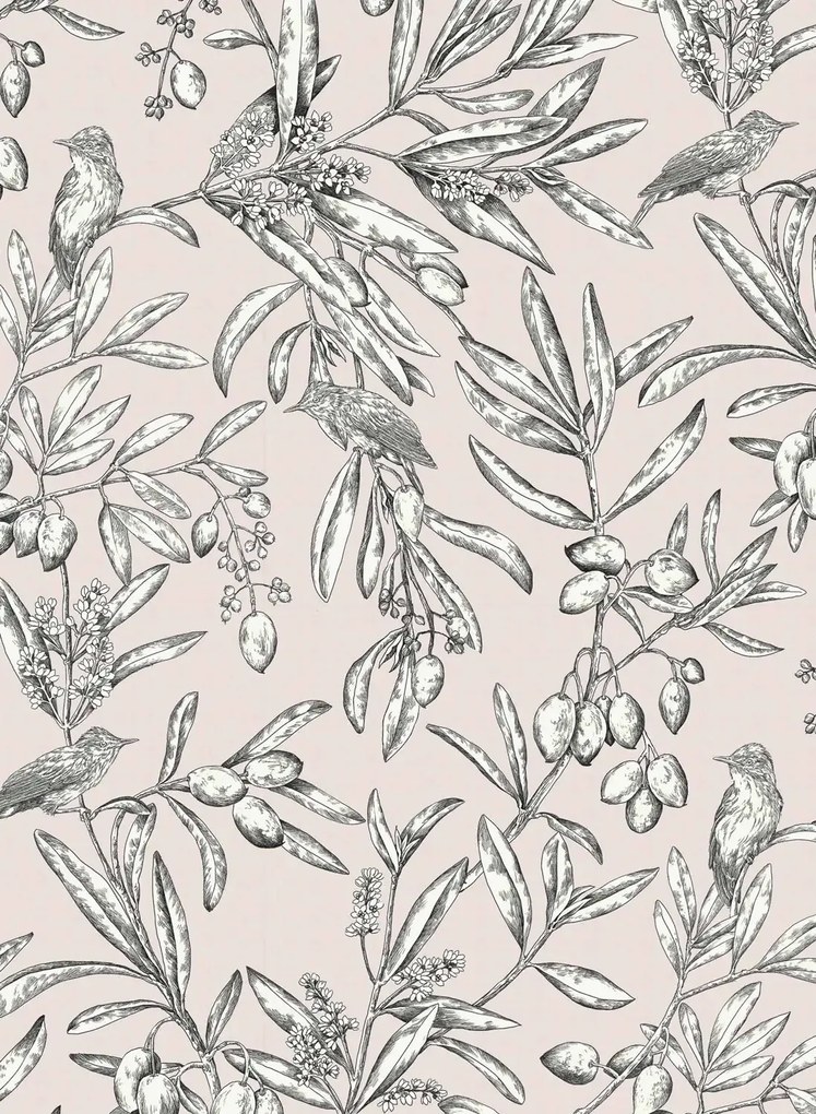 Coordonne Carta da parati Aceituna - Cava/ Rosa