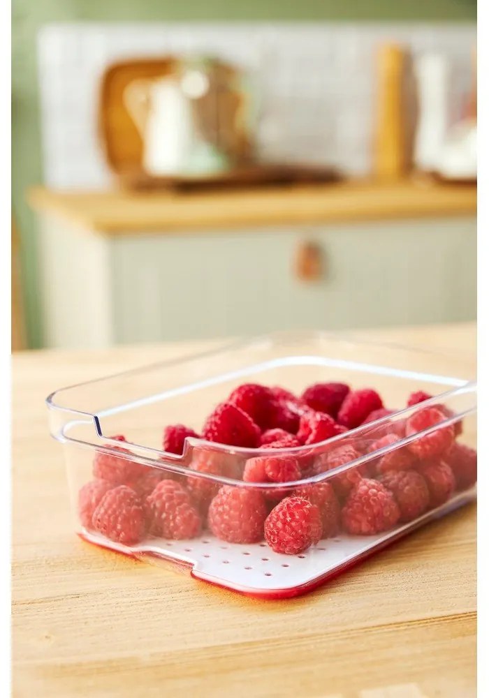 Organizer da frigo in plastica Cauma - Rotho