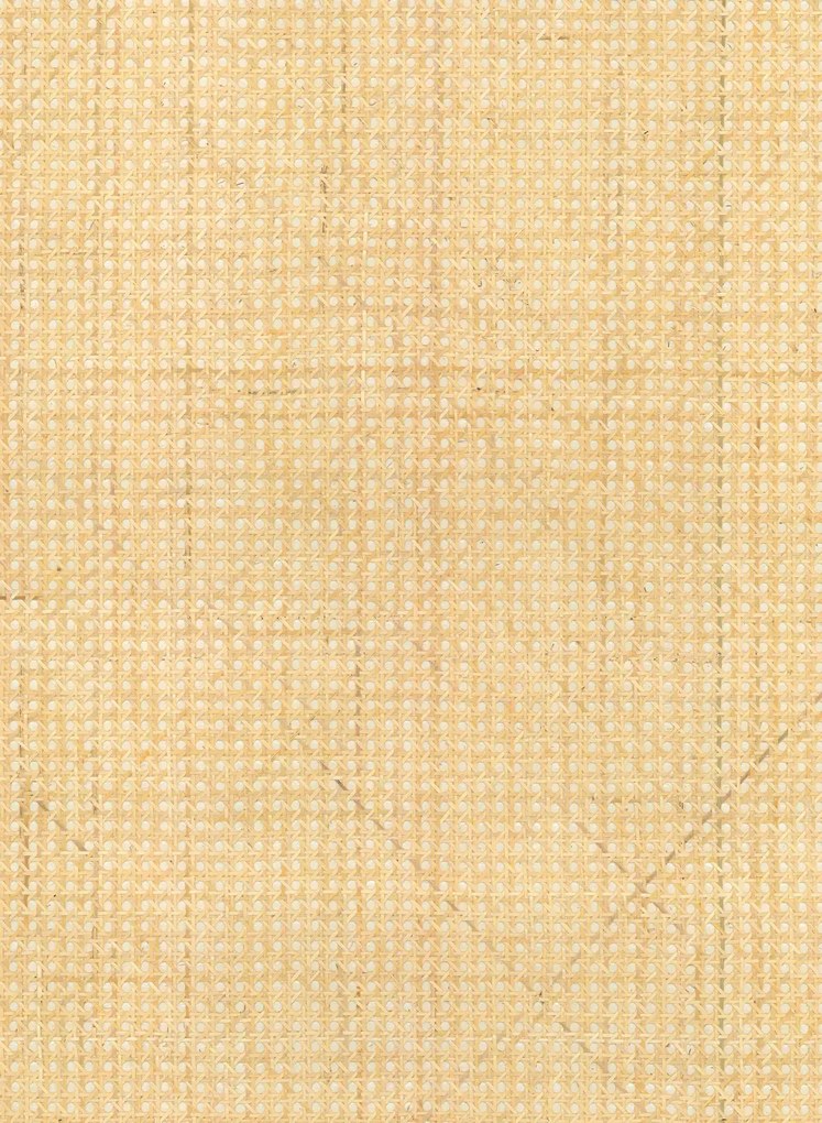 Arte International Carta da parati Rattan - Off-White