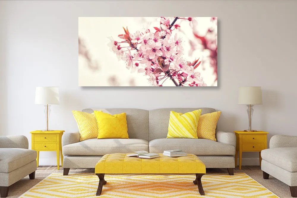 Quadro su tela – Fiori rosa di ciliegio