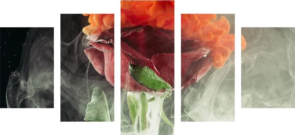 Quadri 5 pezzi – Rose con elementi astratti