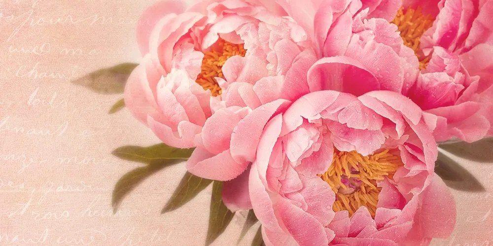 Stampa su tela – Peonia delicata
