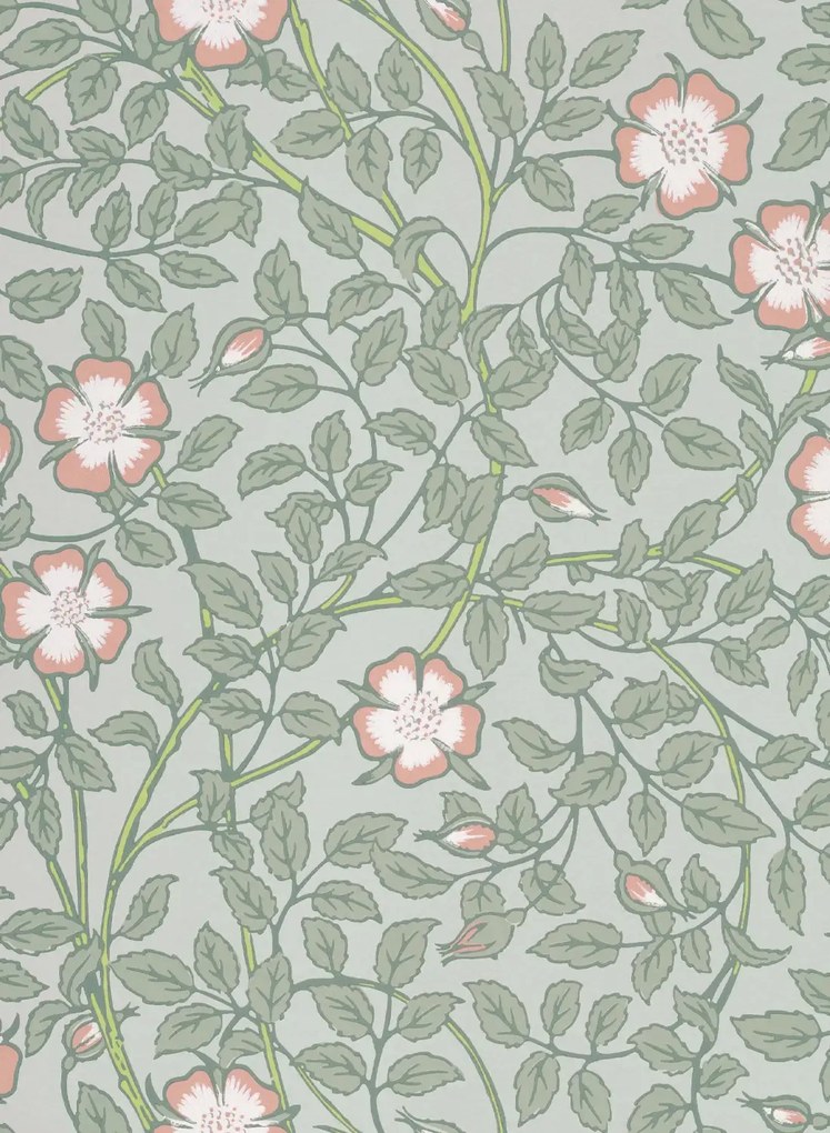 Little Greene Carta da parati Briar Rose - Salix