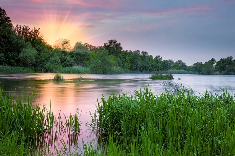 Carta da parati – Alba sul fiume