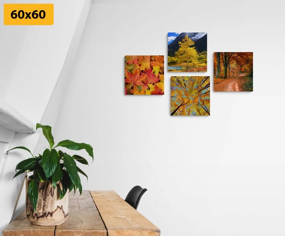 Set di quadri – Natura autunnale in colori splendidi