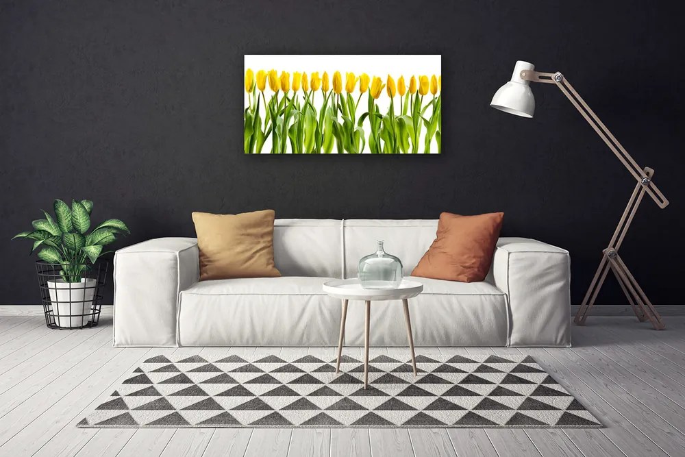 Quadro su tela Tulipani, fiori, natura 100x50 cm