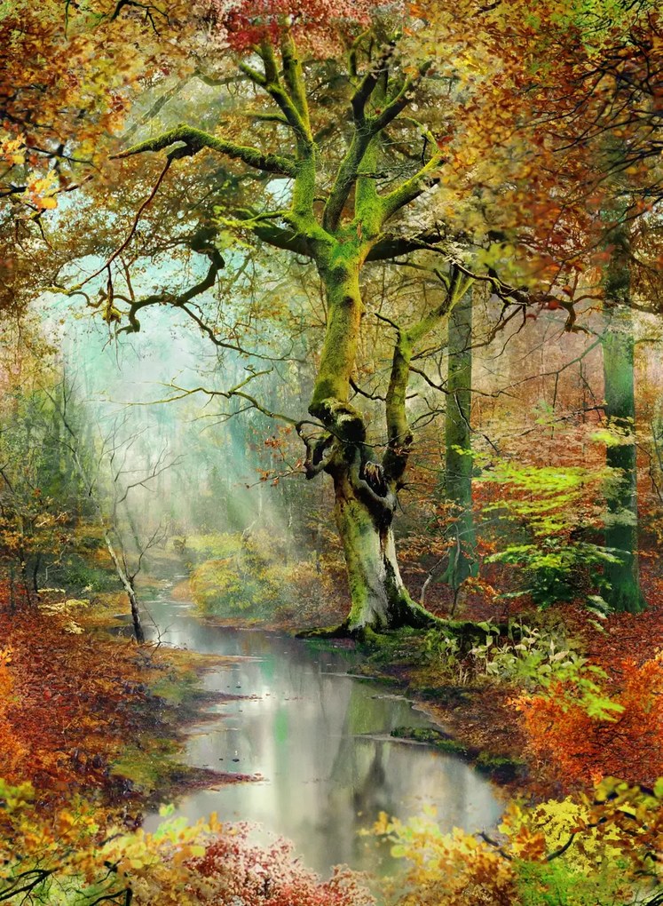 Jean Paul Gaultier Carta da parati panoramica Sous Bois - Foret