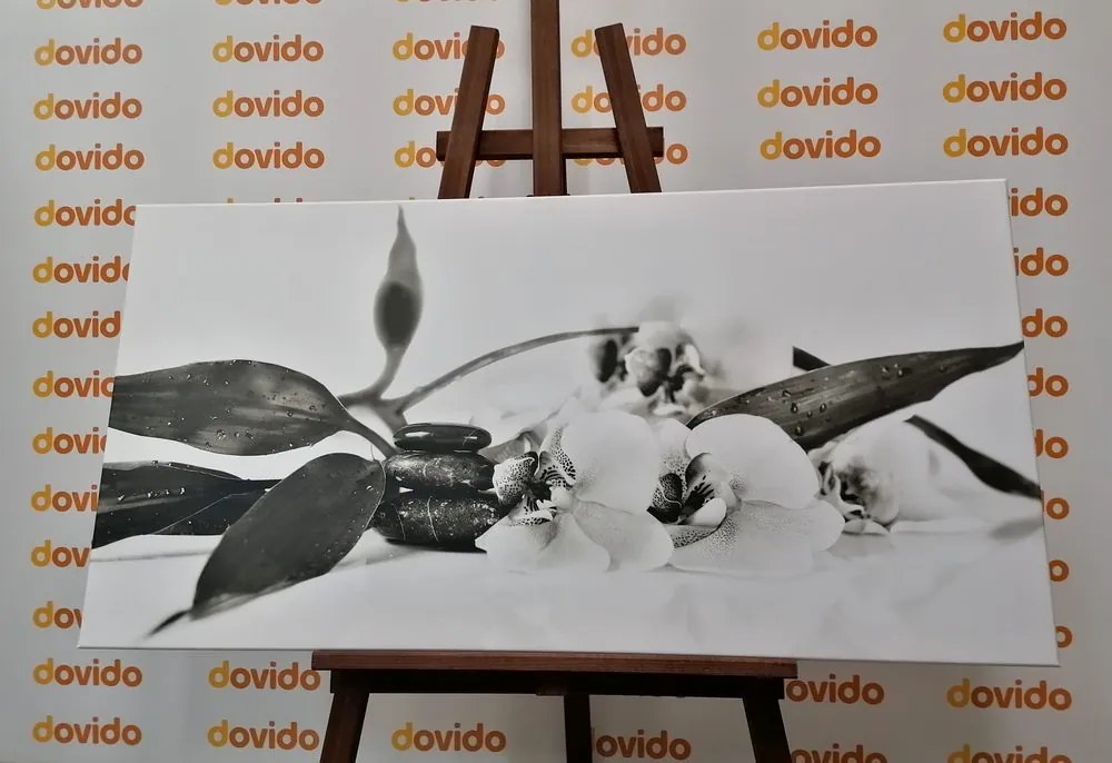 Quadro su tela – Natura morta con pietre Zen in bianco e nero