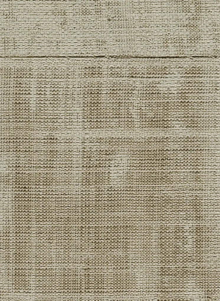 Élitis Carta da parati Atelier d'Artiste - VP 880 15