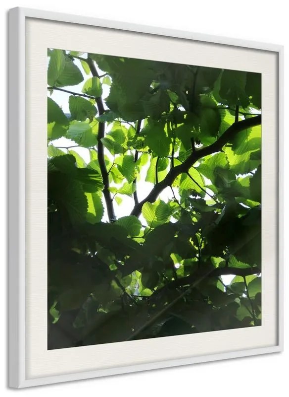 Poster  Under Cover of Leaves  Cornice Quadri Cornice d'oro con passe-partout, Larghezza x Altezza Home decor 50x50