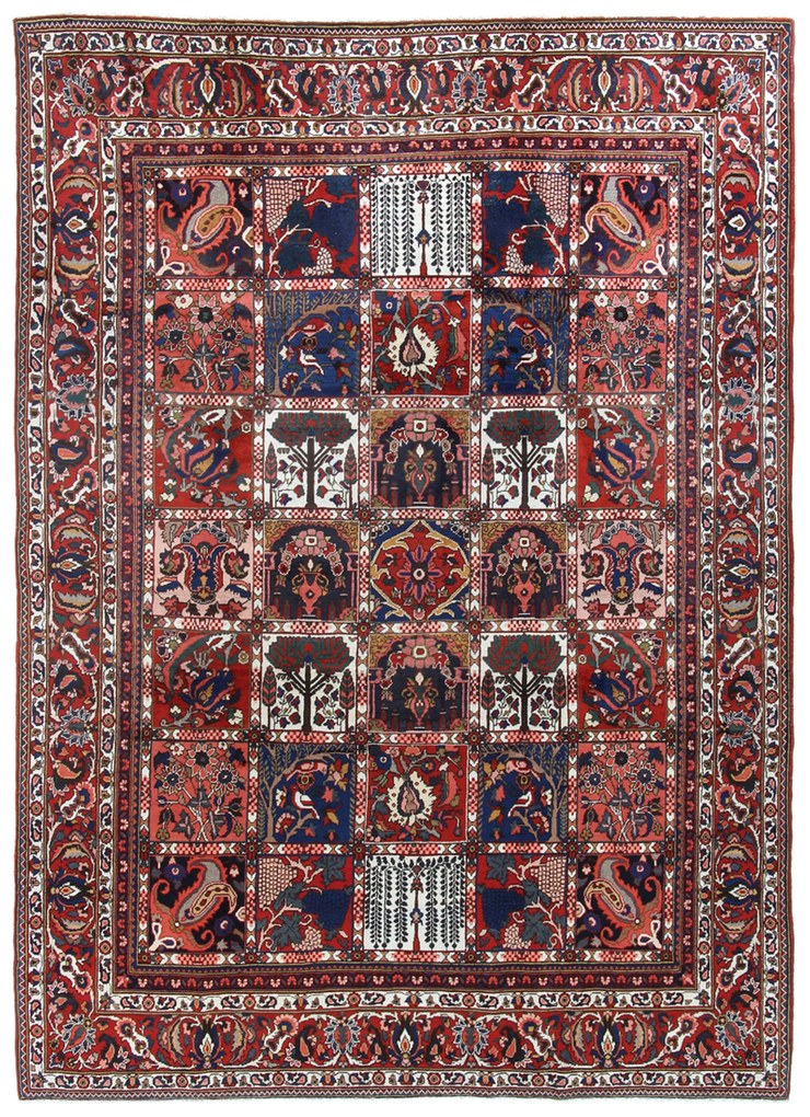 Bakhtiar Tappeto 220 x 300 (Iran) Annodato A Mano