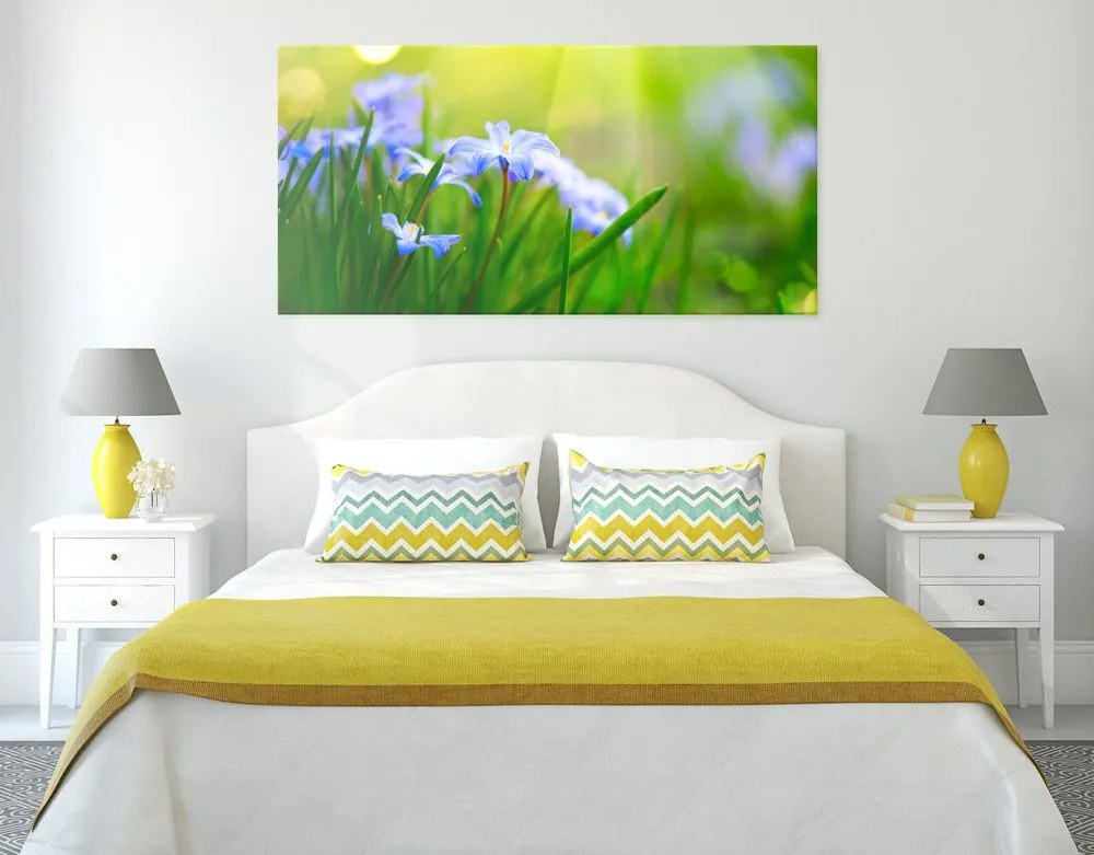Quadro su tela – Fiori nel prato in primavera