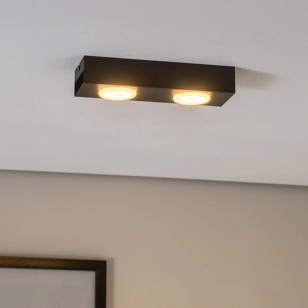 Luminex Faretto Ian in nero, 2 luci