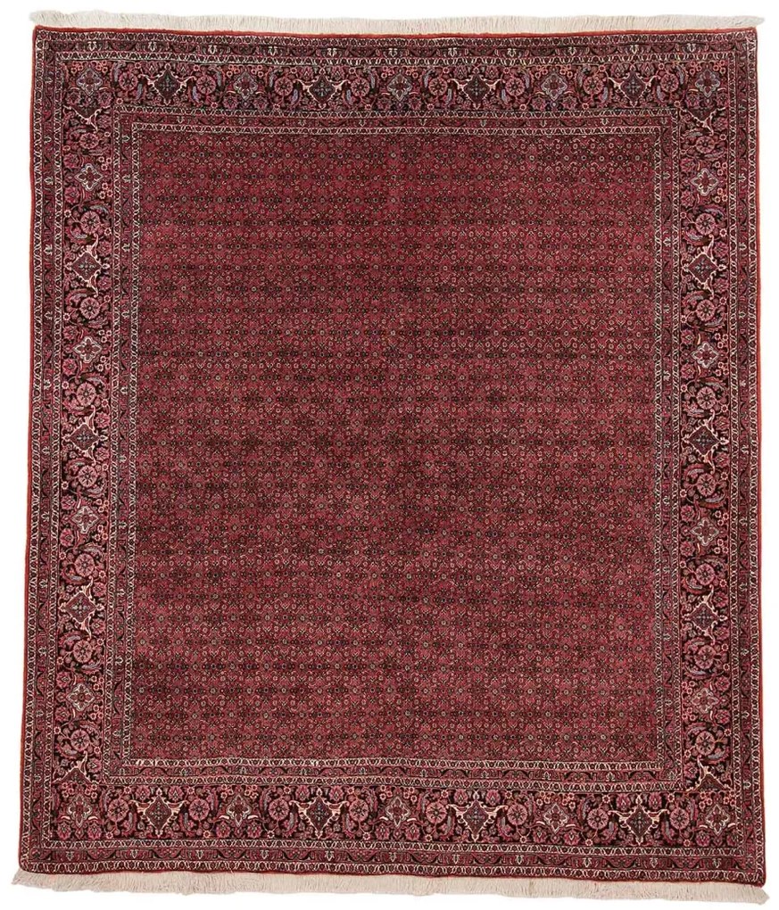 Bidjar Tappeto 210 x 240 (Iran)