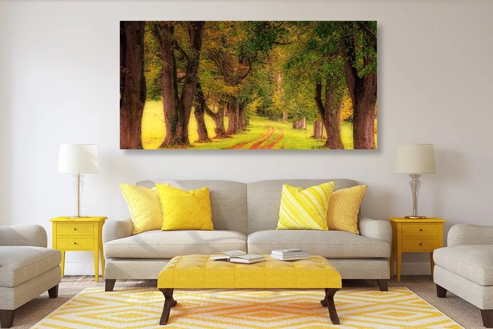Quadro su tela – Sentiero nella foresta autunnale