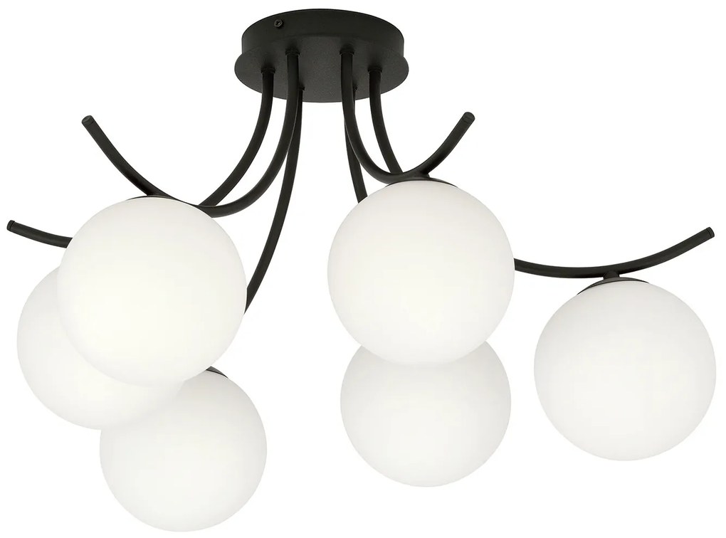 Plafoniera Moderna 6 Luci Coeo In Acciaio Nero E Diffusori In Vetro Opale