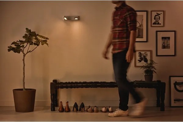 Philips 53192/48/P0 - Luce Spot a LED MILLENNIUM 2xLED/4,5W/230V