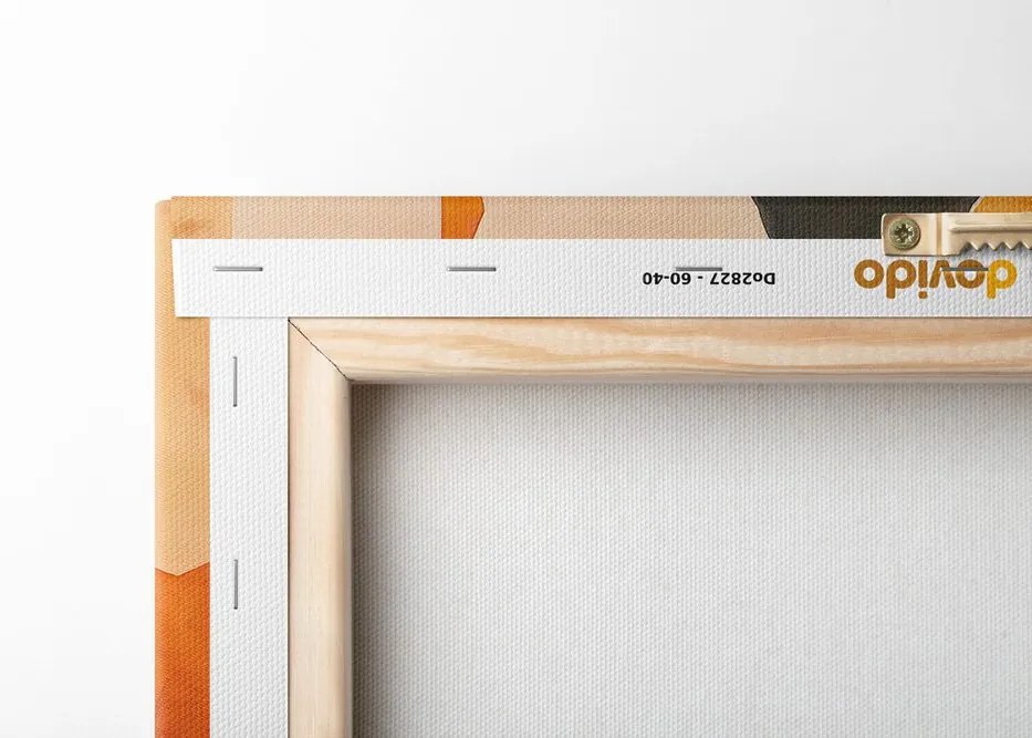 Stampa su tela – Motivi moderni Peach Fuzz