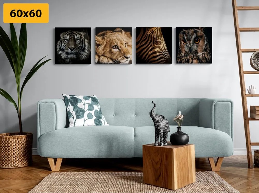 Set di quadri – Animali selvatici