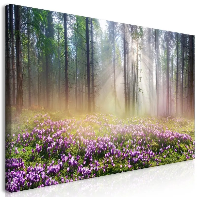 Quadro  Purple Meadow (1 Part) Wide  Colore Viola, Dimensioni e Misure 120x60