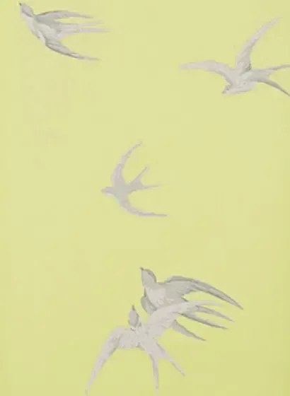 Tapete Swallows von Sanderson - Lime