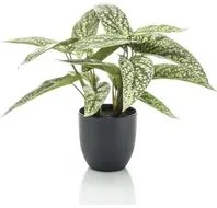 Emerald Calathea Artificiale Dots 38 cm in Vaso 444639