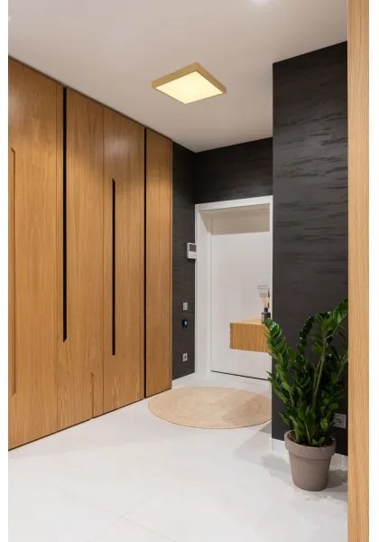 Globo 12382-22 - Plafoniera LED TIBEY LED/22W/230V 35x35 cm