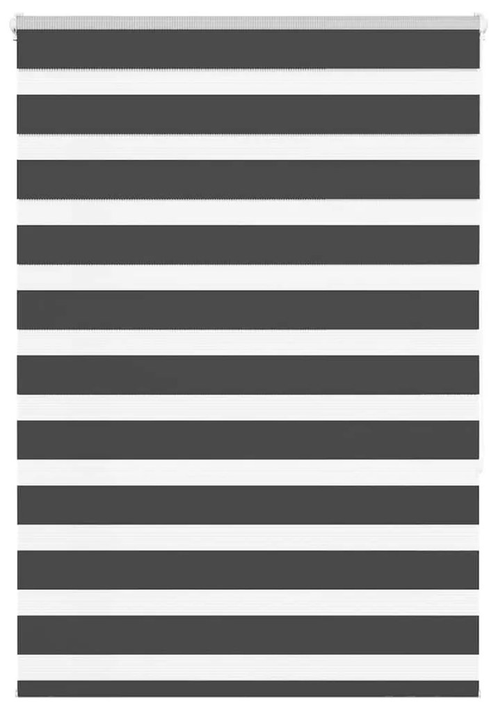 Tenda A Rullo Zebra Nero Larghezza Tessuto 105,9 Cm Poliestere /