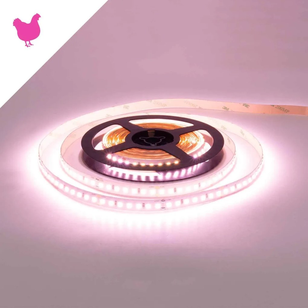 Striscia LED Professional per Banco Carni