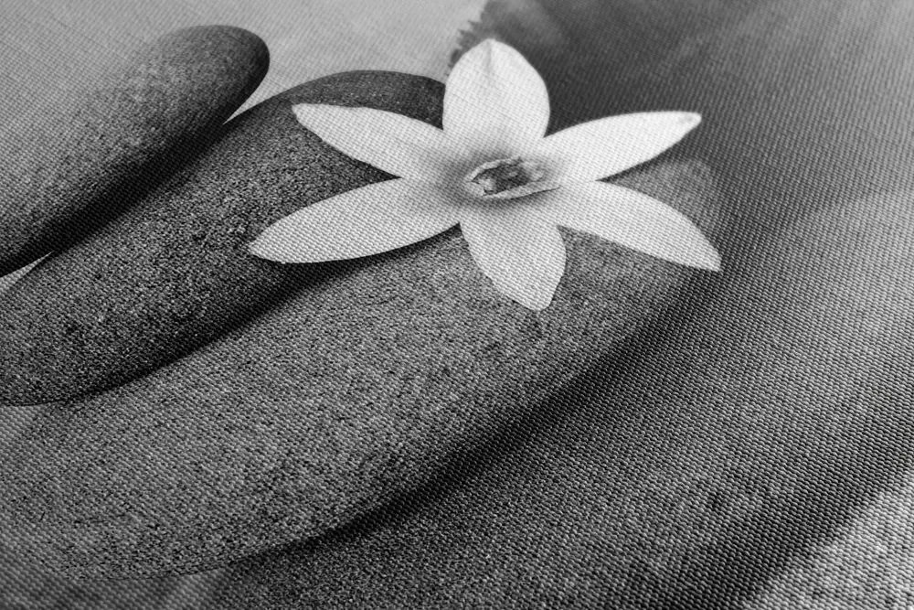 Stampa su tela – Fiore e pietre nella sabbia in bianco e nero