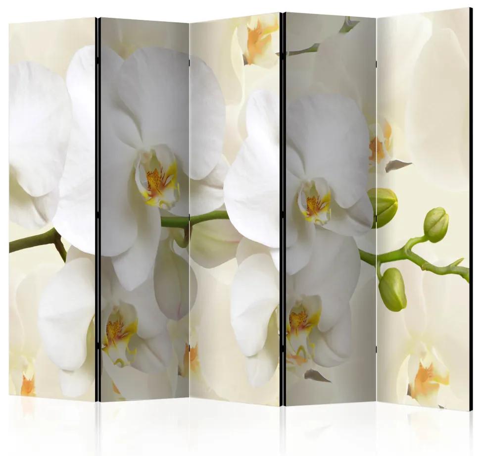 Paravento separè Ramo di orchidea II - fiori bianchi su sfondo chiaro