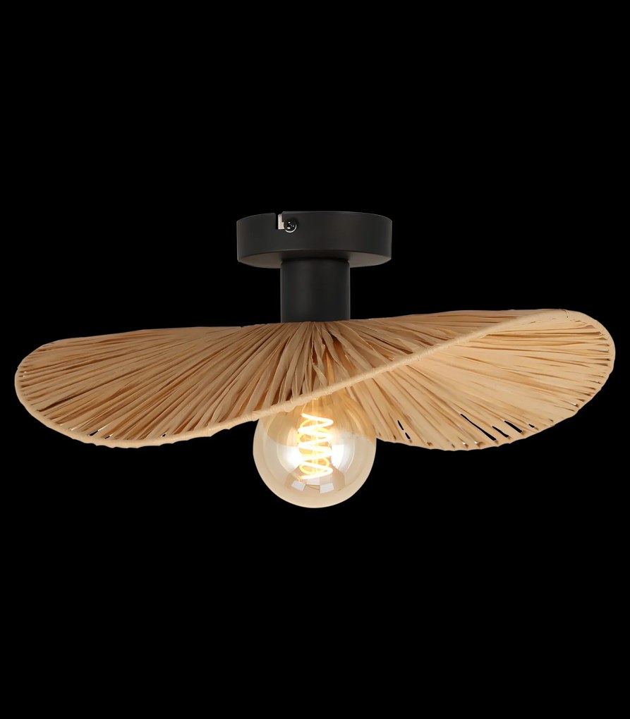 Lampada APP1827-1CP NATURE BLACK
