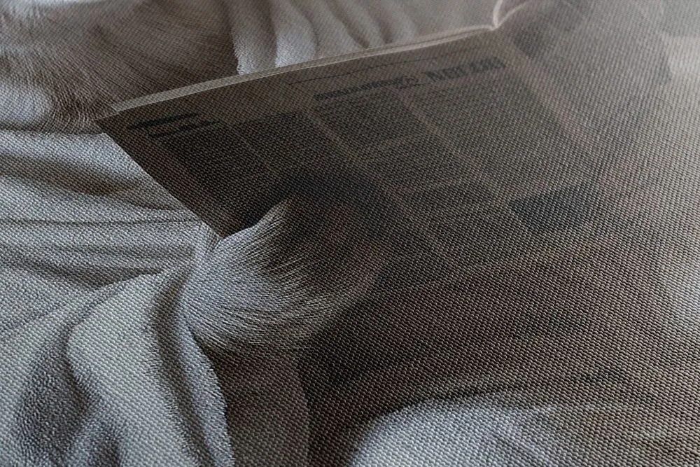 Stampa su tela – Orso polare con giornale in bagno